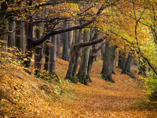 Haalbeck Testveranstaltung