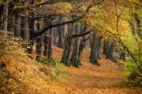 <a href="/veranstaltungen/detailansicht/event/haalbeck-testveranstaltung.html" target="_self">Haalbeck Testveranstaltung</a>