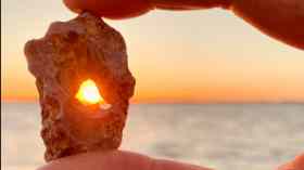 Oasentag für Ehrenamtliche in DEINER Region