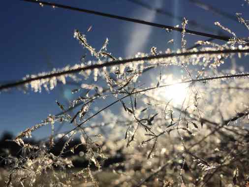 Musikalische Abendandacht