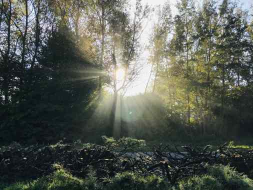 Gottesdienst der Magdalenengemeinde