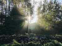 <a href="/veranstaltungen/detailansicht/event/gottesdienst-der-magdalenengemeinde-5.html" target="_self">Gottesdienst der Magdalenengemeinde</a>