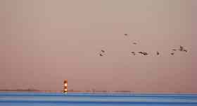 Gottesdienst der Magdalenengemeinde