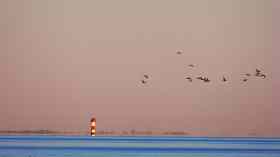 Gottesdienst der Magdalenengemeinde