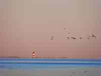 <a href="/veranstaltungen/detailansicht/event/gottesdienst-der-magdalenengemeinde-7.html" target="_self">Gottesdienst der Magdalenengemeinde</a>