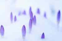 <a href="/veranstaltungen/detailansicht/event/gottesdienst-15017.html" target="_self">Gottesdienst</a>