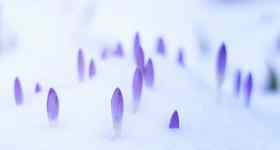 Gottesdienst in Oeversee