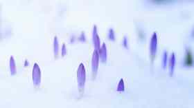 Gottesdienst in Oeversee