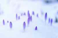 <a href="/veranstaltungen/detailansicht/event/gottesdienst-in-oeversee-8.html" target="_self">Gottesdienst in Oeversee</a>