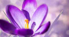 Gottesdienst mit Abendmahl