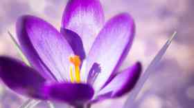 Gottesdienst mit Abendmahl