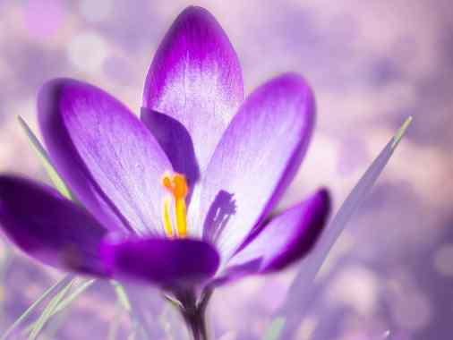 Gottesdienst mit Abendmahl