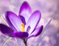 <a href="/veranstaltungen/detailansicht/event/gottesdienst-mit-abendmahl-1841.html" target="_self">Gottesdienst mit Abendmahl</a>