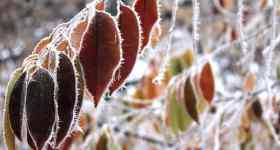 Musikalische Abendandacht