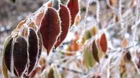Musikalische Abendandacht