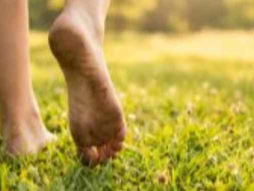 Neue Kräfte - Das Frühjahr begrüßen