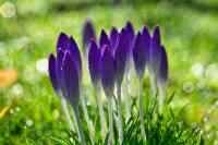 <a href="/veranstaltungen/detailansicht/event/gottesdienst-15022.html" target="_self">Gottesdienst</a>