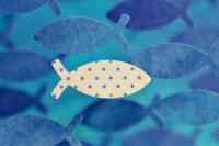 <a href="/veranstaltungen/detailansicht/event/gottesdienst-in-oeversee-9.html" target="_self">Gottesdienst in Oeversee</a>