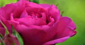 Gottesdienst Jarplund