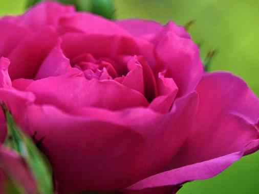 Gottesdienst Jarplund