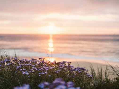 Musikalische Abendandacht