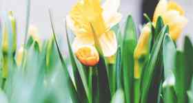 Familiengottesdienst innerhalb der Förderegion am Ostermontag mit Pastorin Sabrina Biehl