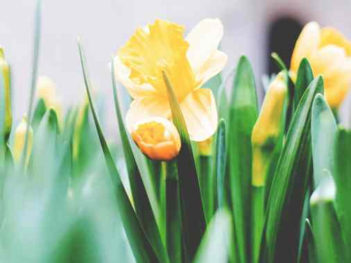Familiengottesdienst innerhalb der Förderegion am Ostermontag mit Pastorin Sabrina Biehl