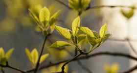 Gottesdienst mit Pastorin Sabrina Biehl