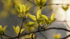 Gottesdienst mit Pastorin Sabrina Biehl