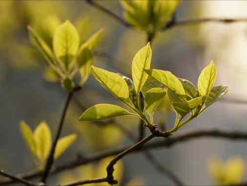 Gottesdienst mit Pastorin Sabrina Biehl