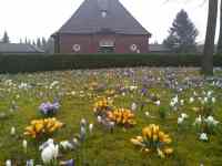 <a href="/veranstaltungen/detailansicht/event/gottesdienst-15450.html" target="_self">Gottesdienst</a>