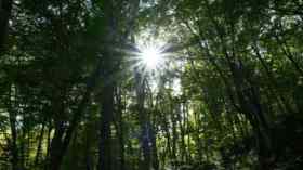 Transformation und Theologie? – Nachdenken über Gott in der Klimakrise