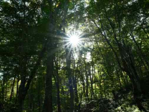 Transformation und Theologie? – Nachdenken über Gott in der Klimakrise