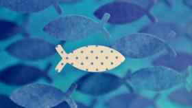 Konfirmation in Adelby