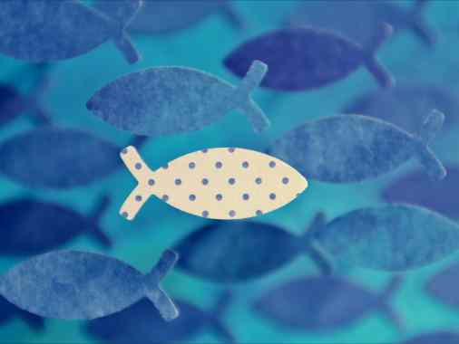 Konfirmation in Adelby