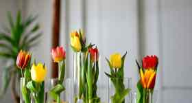 Gottesdienst mit Vorstellung der Konfis