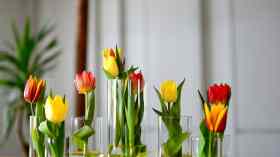 Gottesdienst mit Vorstellung der Konfis