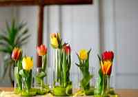 <a href="/veranstaltungen/detailansicht/event/gottesdienst-mit-vorstellung-der-konfis.html" target="_self">Gottesdienst mit Vorstellung der Konfis</a>