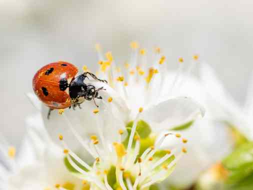 Segnungsgottesdienst