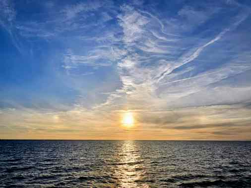 Misericordias Domini