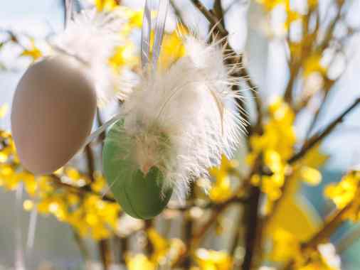 Gottesdienst am Ostersonntag mit Abendmahl