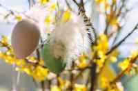 <a href="/veranstaltungen/detailansicht/event/gottesdienst-am-ostersonntag-mit-abendmahl-6.html" target="_self">Gottesdienst am Ostersonntag mit Abendmahl</a>