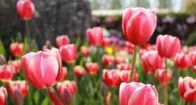 Gottesdienst mit Abendmahl