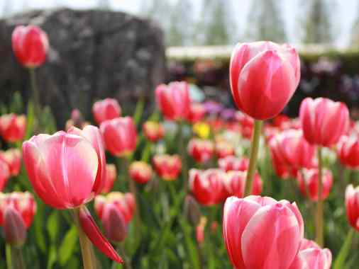 Gottesdienst mit Abendmahl
