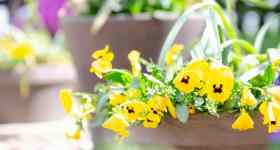 Gottesdienst Jarplund