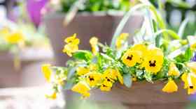 Gottesdienst Jarplund