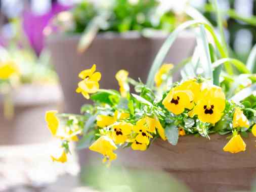 Gottesdienst Jarplund