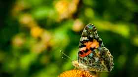 Musikalische Abendandacht