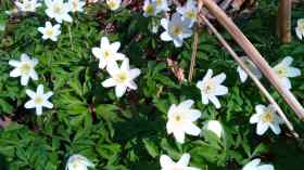Frühlingsspaziergang in den Fröruper Bergen