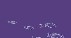 Konfirmationsgottesdienst